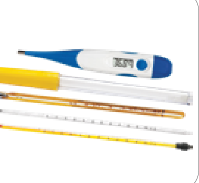 Digital Thermometer