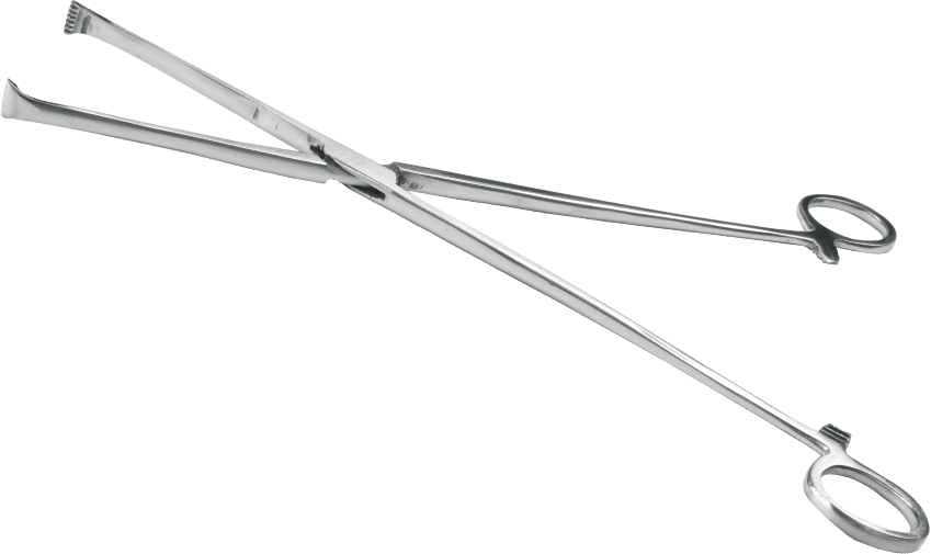 Allis Tissue Forcep